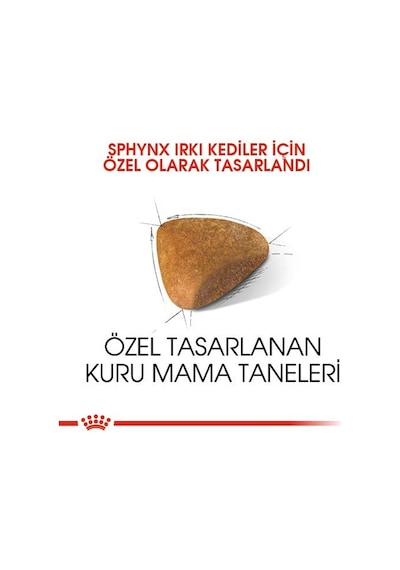 Royal Canin Adult Sphynx Yetişkin Kedi Maması 2 KG