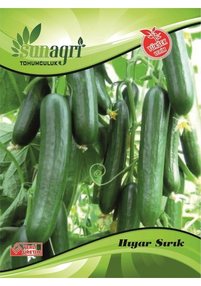 Sunagri Sırık Salatalık Tohumu