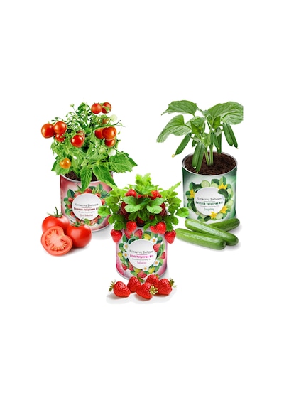 Konserve Bahçem Çilek + Salatalık + Domates Yetiştirme Kiti 3 Adet