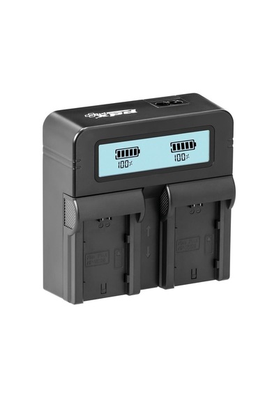Cgr-d28s Panasonic Uyumlu İkili Şarj Aleti