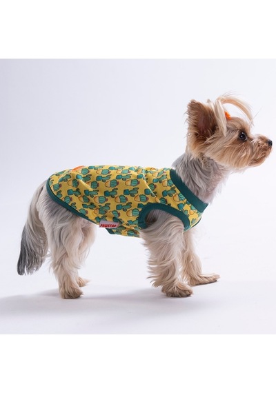 Cactus Tişört Kedi Köpek Tişörtü-kedi Köpek Kıyafeti