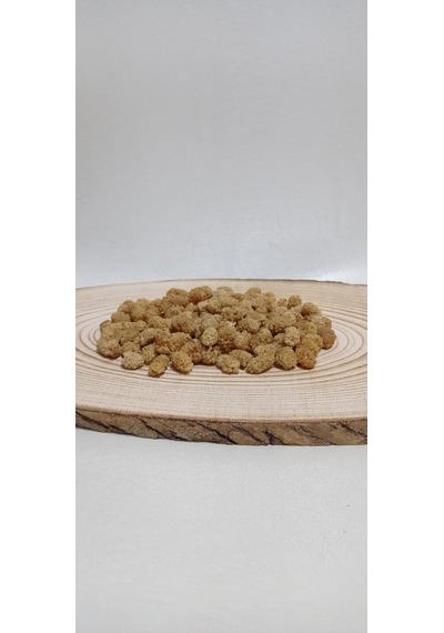 Burağın Bahçesi Kuru Dut 500 G