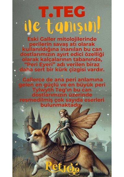 Petjoo 15.T.Teg Sarı-Kırmızı Qr'lı Köpek Künyesi