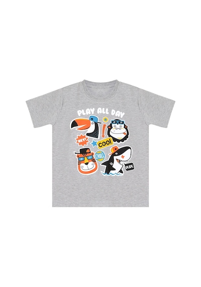 Denokids Mshb&g Cool Animals Erkek Çocuk T-shirt Kapri Şort Takım Çok Renkli