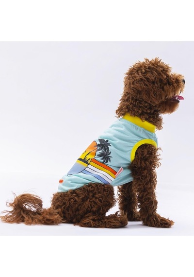 Pawstar Mint Sunrise Kedi Köpek Tişörtü Kedi Köpek Kıyafeti