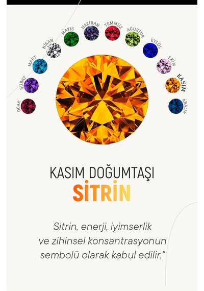 Erdobia Kasım Sitrin Doğum Taşı Çiçek Motifli Telkari Gümüş Kolye