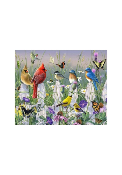 Kuş Cenneti Çerçeveli 50x65 Sayılarla Boyama Hobi Seti