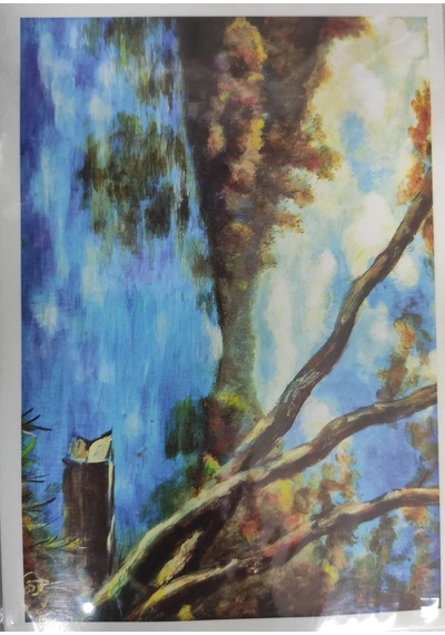 Seven Kartpostal Svn-501/502/503