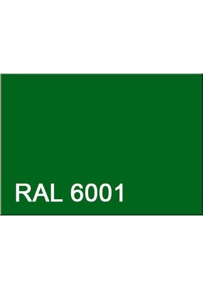 Pamukkale Enamel Sentetik Parlak Yağlı Boya 0.75 Kg Çimen Yeşili Ral 6001