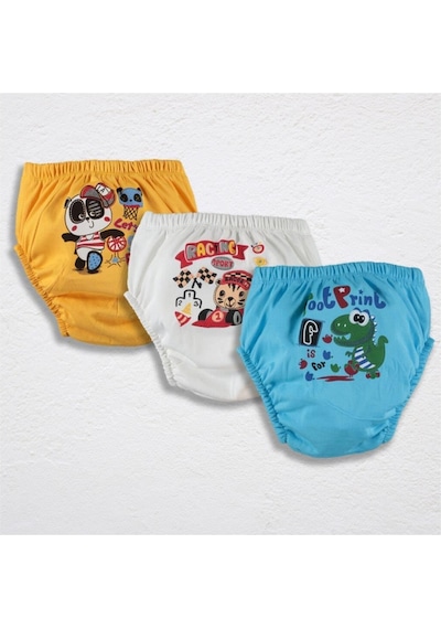 Erkek Çocuk Alıştırma Külodu Set 3lü