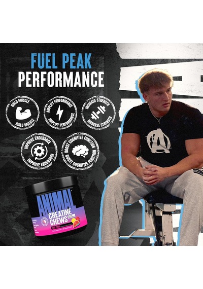Animal Creatine Chews Tablets - 120 Count