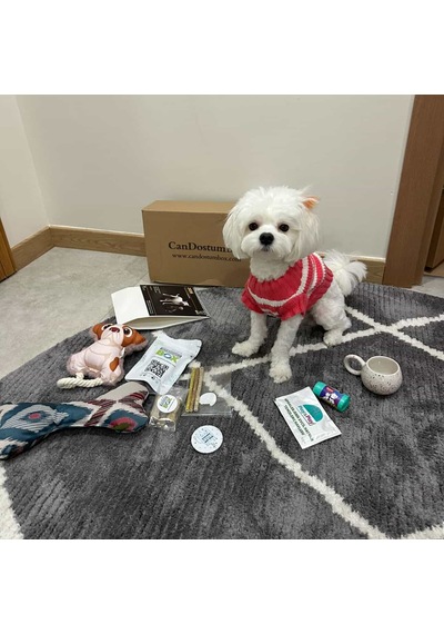 Candostumbox Evcil Hayvan Hediye Kutusu Kedi Köpek Tavşan Kuş B