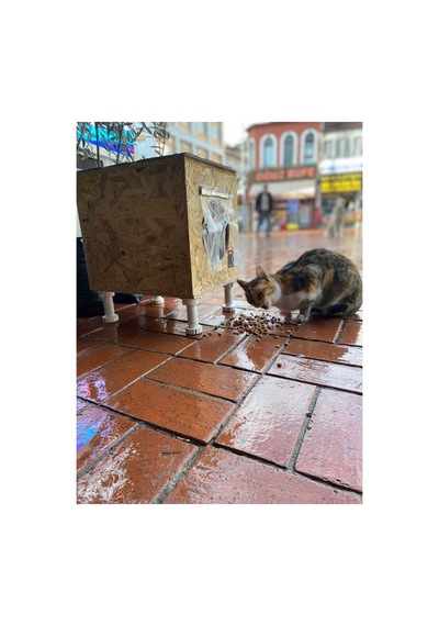 Dış & Iç Mekan Ahşap Kedi Yuvası Ölçüleri: 35x40x35