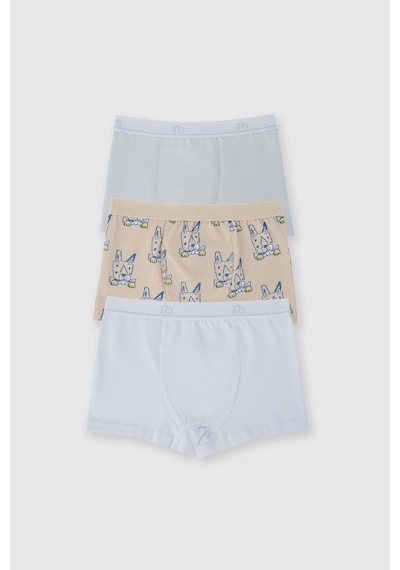 Panço Erkek Çocuk 3'lü Boxer Seti Renkli