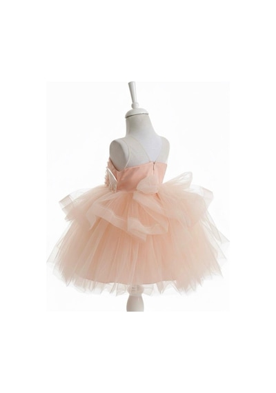 Babyhola 2-6 Yaş Kız Bebek Çocuk Çicek Detaylı Tül Abiye Elbise 3001 Somon