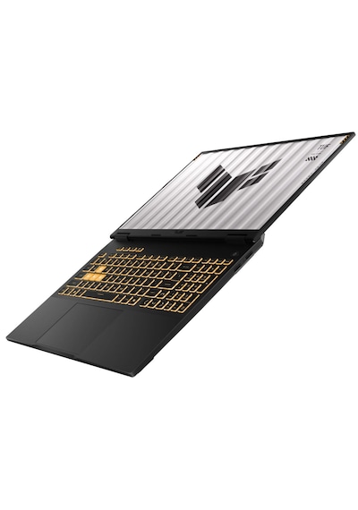 Asus TUF Gaming F16 FX608JMR-RV077 i7-14650HX 32 GB 1 TB SSD RTX5060 16" Free Dos Dizüstü Bilgisayar