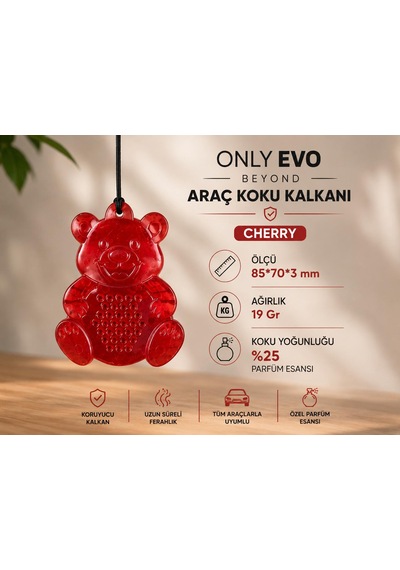 Araç Koku Kalkanı Sevimli Ayıcık Araç Ortam Kokusu