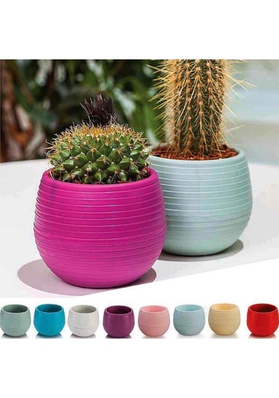 Serada Decor Plant Kaktüs Ve Sukulent Saksısı 0,13l - 6'lı Set