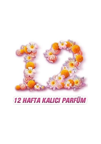 Abc Parfumia Romantik Gül Konsantre Yumuşatıcı 1440 Ml 4'lü Seti 3'lü Set