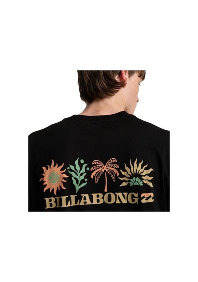 Billabong Bıllabong Segment Ss Erkek Tişört Ebyzt00509 Siyah