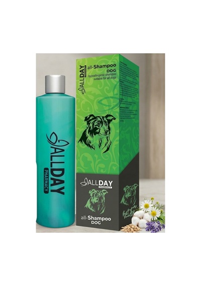 Allday All-shampoo Doğal Onarıcı Bakım Şampuanı 250 Ml