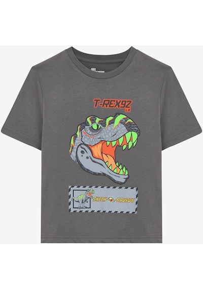 Skechers Graphic Tee B Short Sleeve Büyük Erkek Çocuk Gri Tshirt Sk241093-035