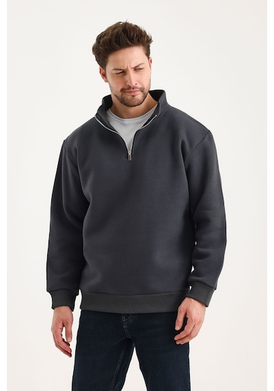 Genius Store Unisex Sweatshirt Rahat Kesim Pamuklu Içi Polarlı Yarım Fermuarlı Dik Yaka Sweatshirt Füme