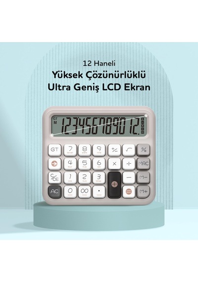 Daxı X-250 12 Haneli Hesap Makinesi Pastel Gri 124-Pembe