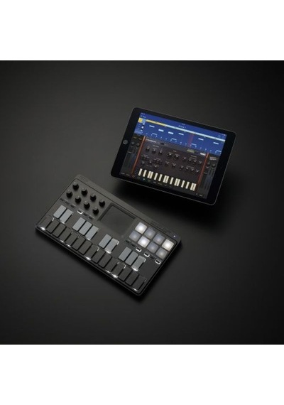 Korg Nanokey Studio.