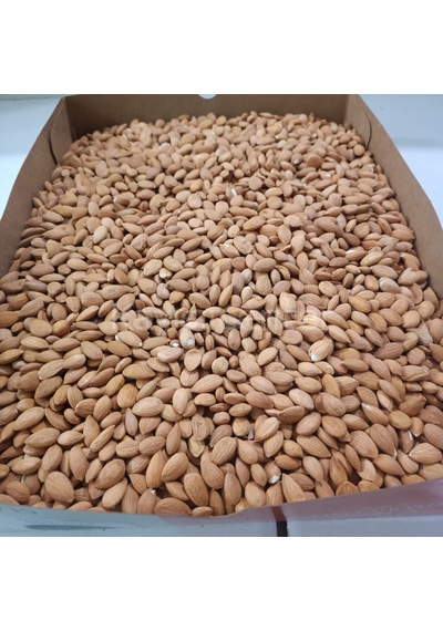 Toptan Kayısı Çekirdeği 25 Kg 25 KG