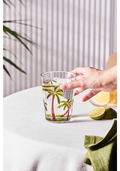 Karaca Palmera Akrilik Su Bardağı 430 Ml Şeffaf Şeffaf