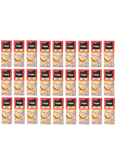 Cappy Şeftali Nektarı 200 Ml X 27 Adet