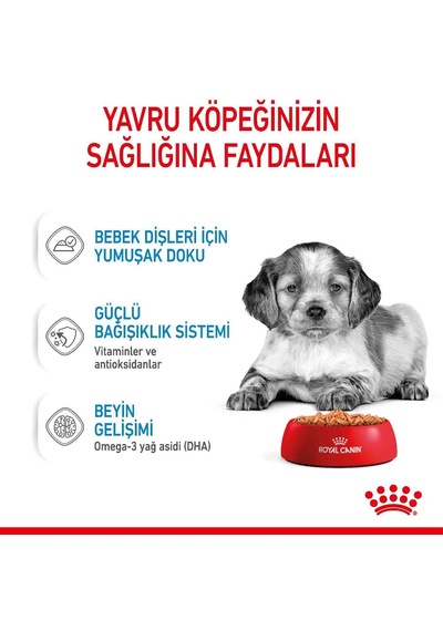 Royal Canin Medium Puppy Orta Irk Yavru Köpekler İçin Parça Etli Konserve Mama 140 Gr X 10 Adet