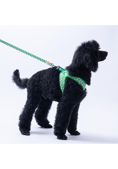 Frog Leash Kurbağa Desenli Kedi Köpek Sevk & Gezdirme Kayışı Köpek Uzatma Tasması-1,5cm Yeşil