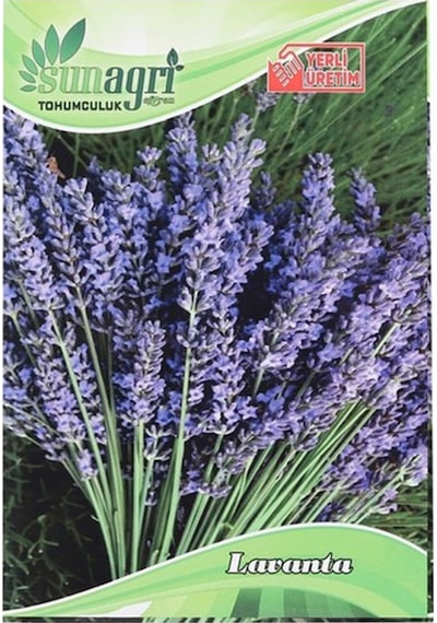 Tohumculuk Lavanta Çiçeği Tohumu Ata Tohum