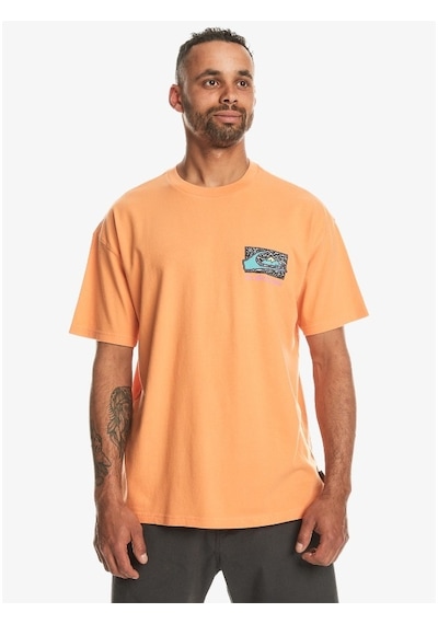 Quiksilver Spin Cycle Erkek T-shirt eqyzt07653-17924 001