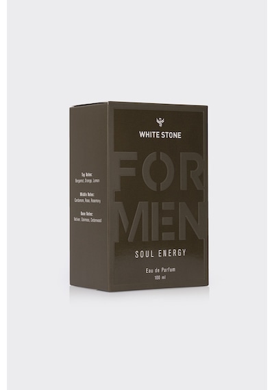 Soul Energy Erkek Eau De Parfum 100 Ml Fresh
