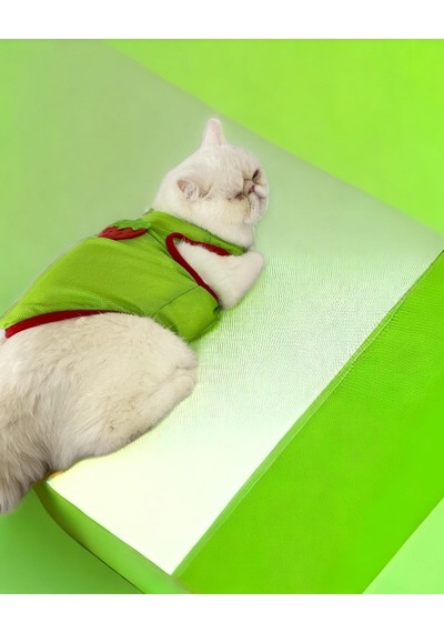 Kemique Pink Strawberry Atlet Kedi Kıyafeti Kedi Elbisesi