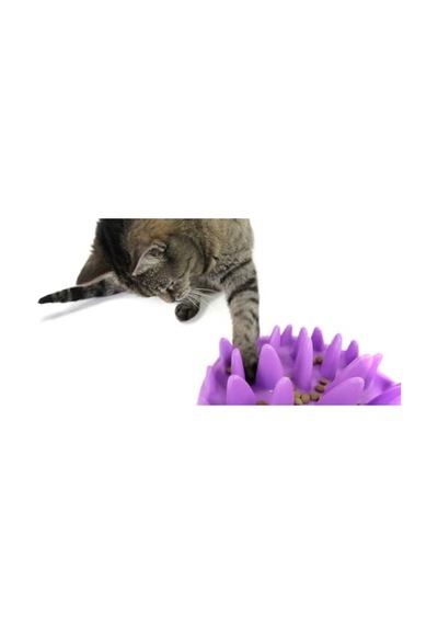Catch Etkileşimli Yavaş Kedi Besleyici