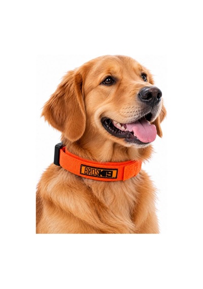 Brosk9 Taktik Köpek Boyun Tasması Hızlı Açılır Tokalı Turuncu M Beden K9 Eğitim Tasması 105693