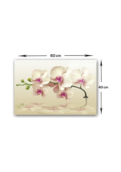 Decorita Krem Orkide | Cam Ocak Arkası Koruyucu | 40cm x 60cm
