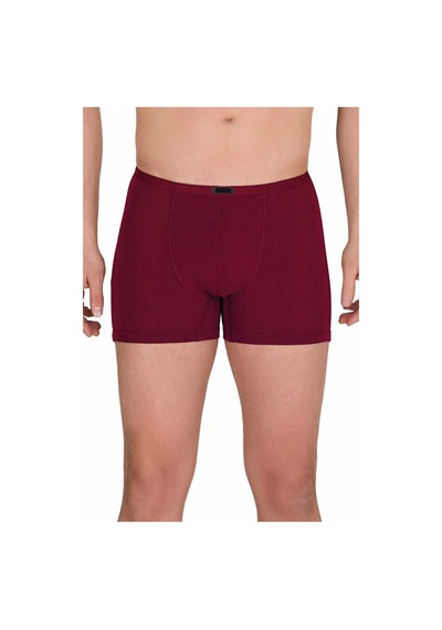 Erkek Modal Boxer Short Bordo 4488b Çok Renkli