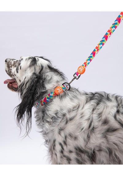 Mosaic Mozaik Desenli Köpek Boyun Tasması Ayarlanabilir Köpek Tasması M Size 32-48cm Boyun Aralığı Mavi