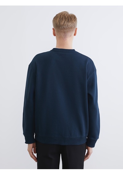 Lcw Vision Petrol Bisiklet Yaka Erkek Kalın Sweatshirt
