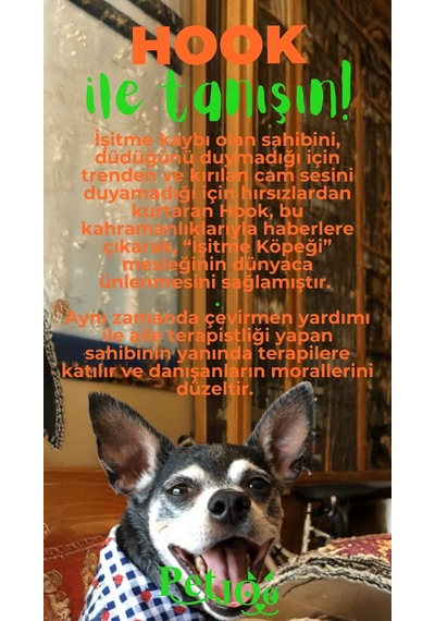 Petjoo 7.Hook Yeşil-Turuncu Qr'lı Köpek Künyesi
