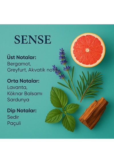 Machuu Sense Erkek Parfüm EDP 50 ML