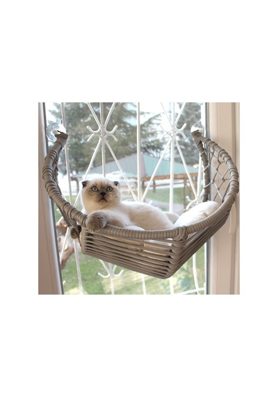 Kedi Cam Yatağı & Cam Askılı Vantuzlu Kedi Yatağı