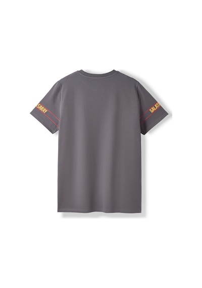 Gsstore Galatasaray Erkek T-shirt E252096 Antrasit