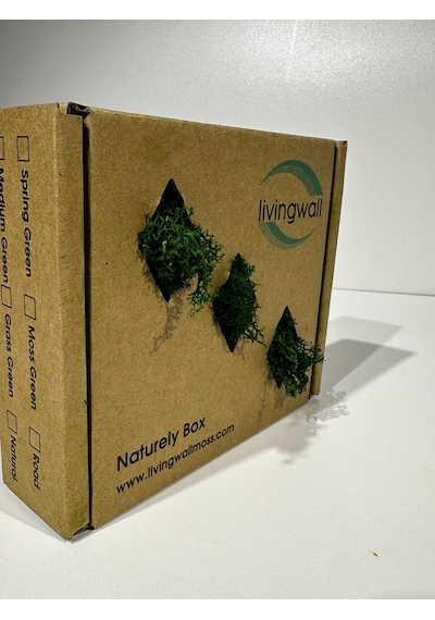Reindermoss Şoklanmış Norveç Yosunu Terarium Yosunu Grass Green Light 100 Gr.