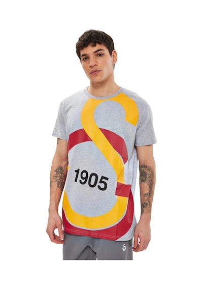 Gsstore Galatasaray Büyük Logolu Tee Gri T-shirt Bayrak Ve Uv Kutu Hediyeli Gri